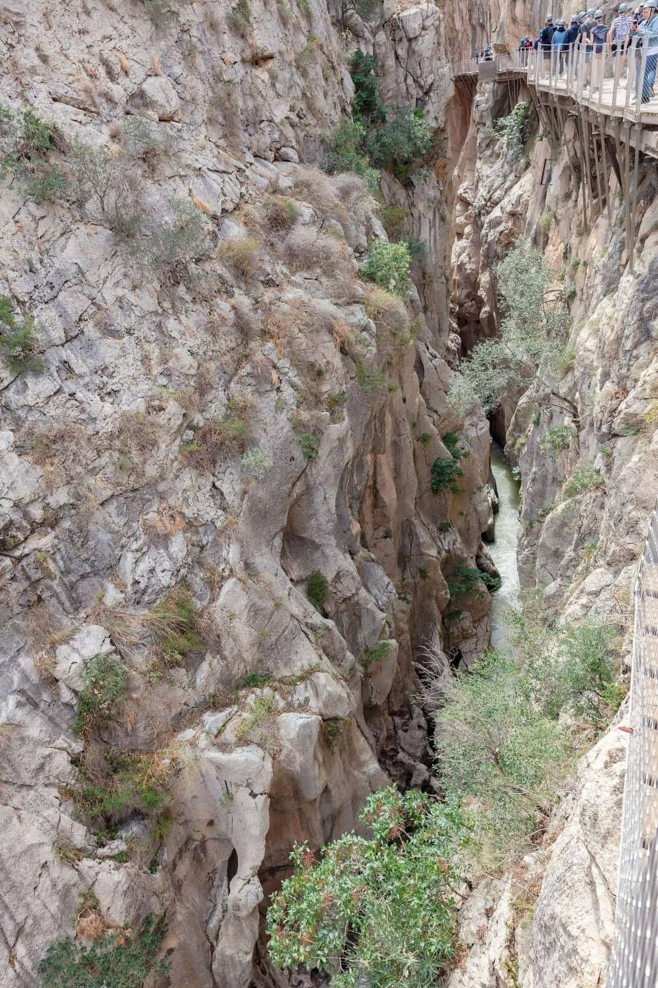 Caminito del Rey cliff walkways near Malaga